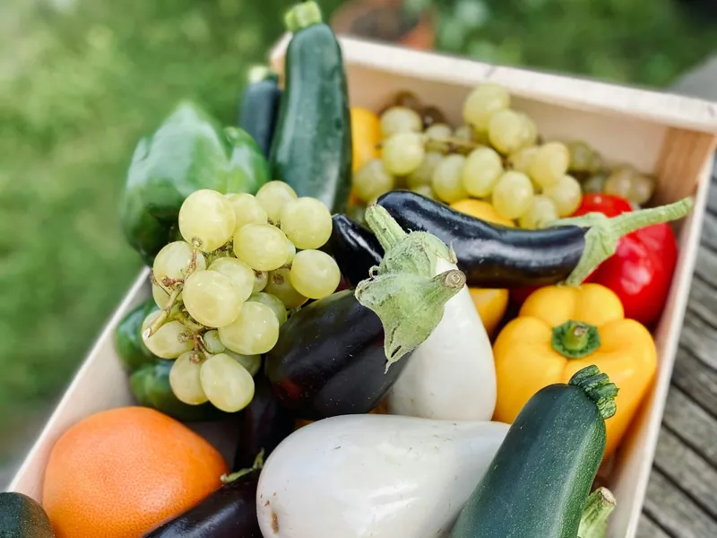 Une cagette de fruits et de légumes : raisin, aubergines, courgettes, poivrons