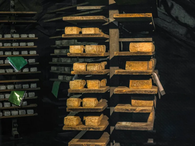 Des fromages qui s'affinent sur les étagères d'une cave